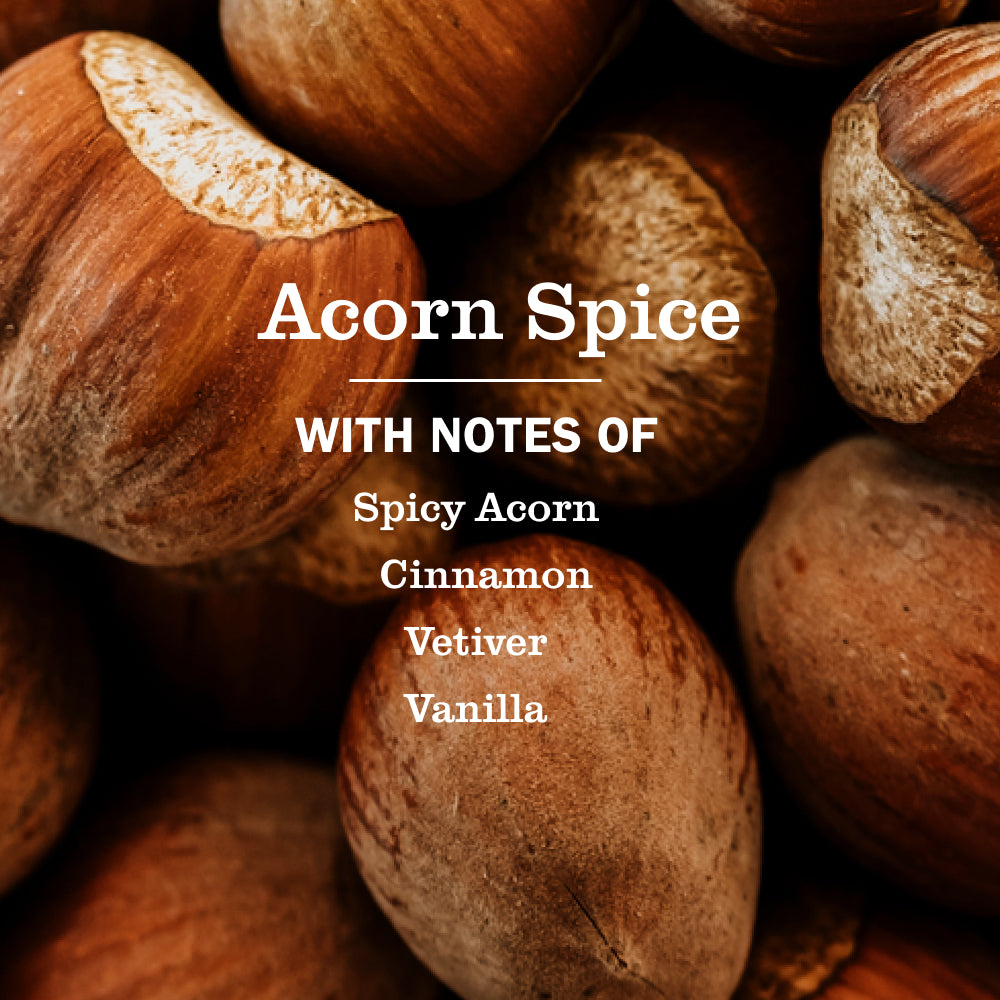 Acorn Spice Plug In Scented Oil Warmer With Refill - Image 5