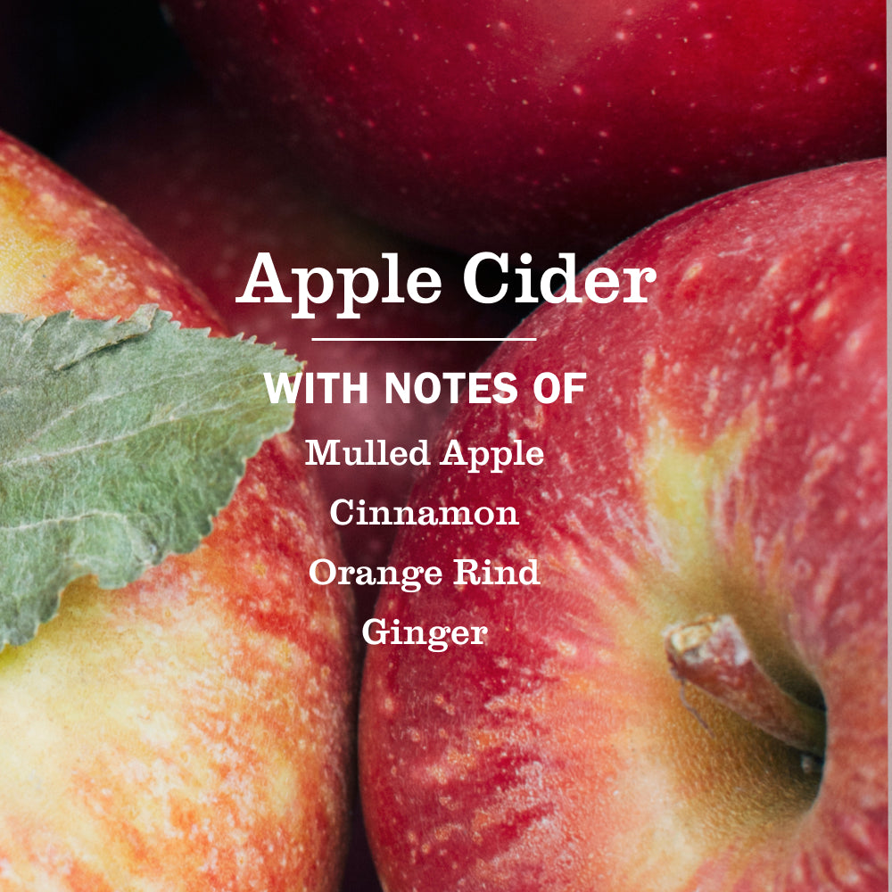 Apple Cider Plug In Scented Warmer With Refill - Image 5