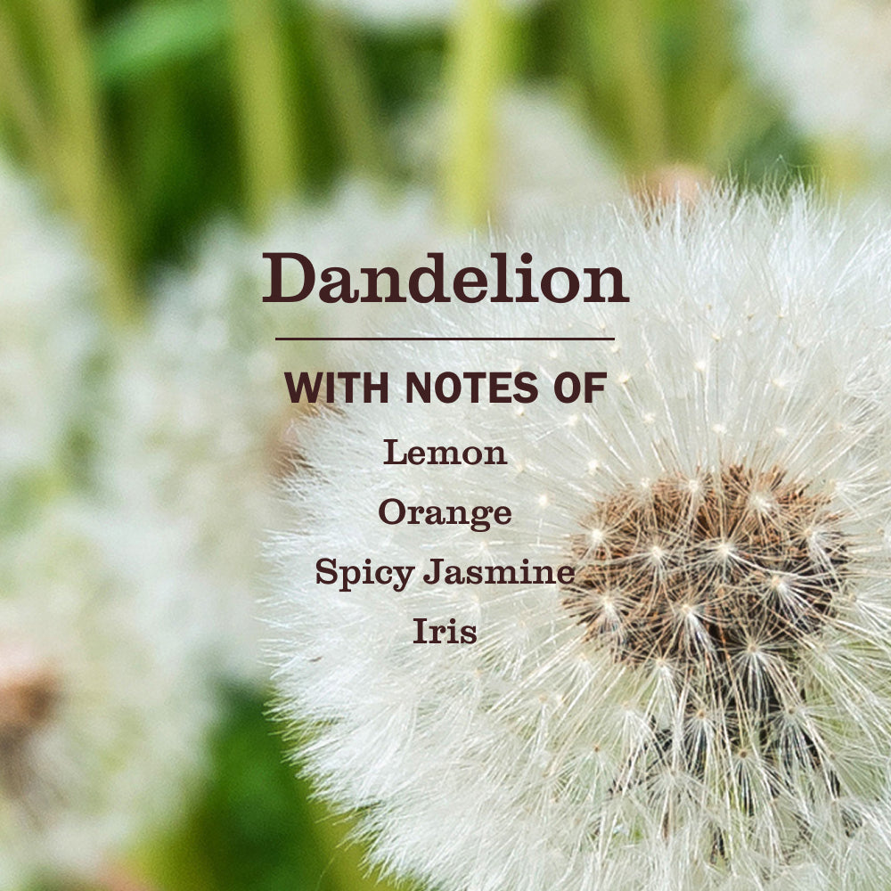 Dandelion Plug In Scented Oil Refill. 2-Pack - Image 4