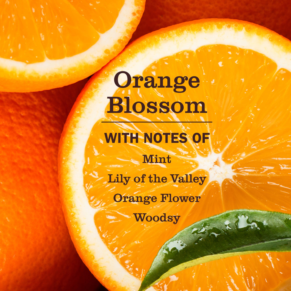 Orange Blossom Pet Odor Neutralizer - Image 3