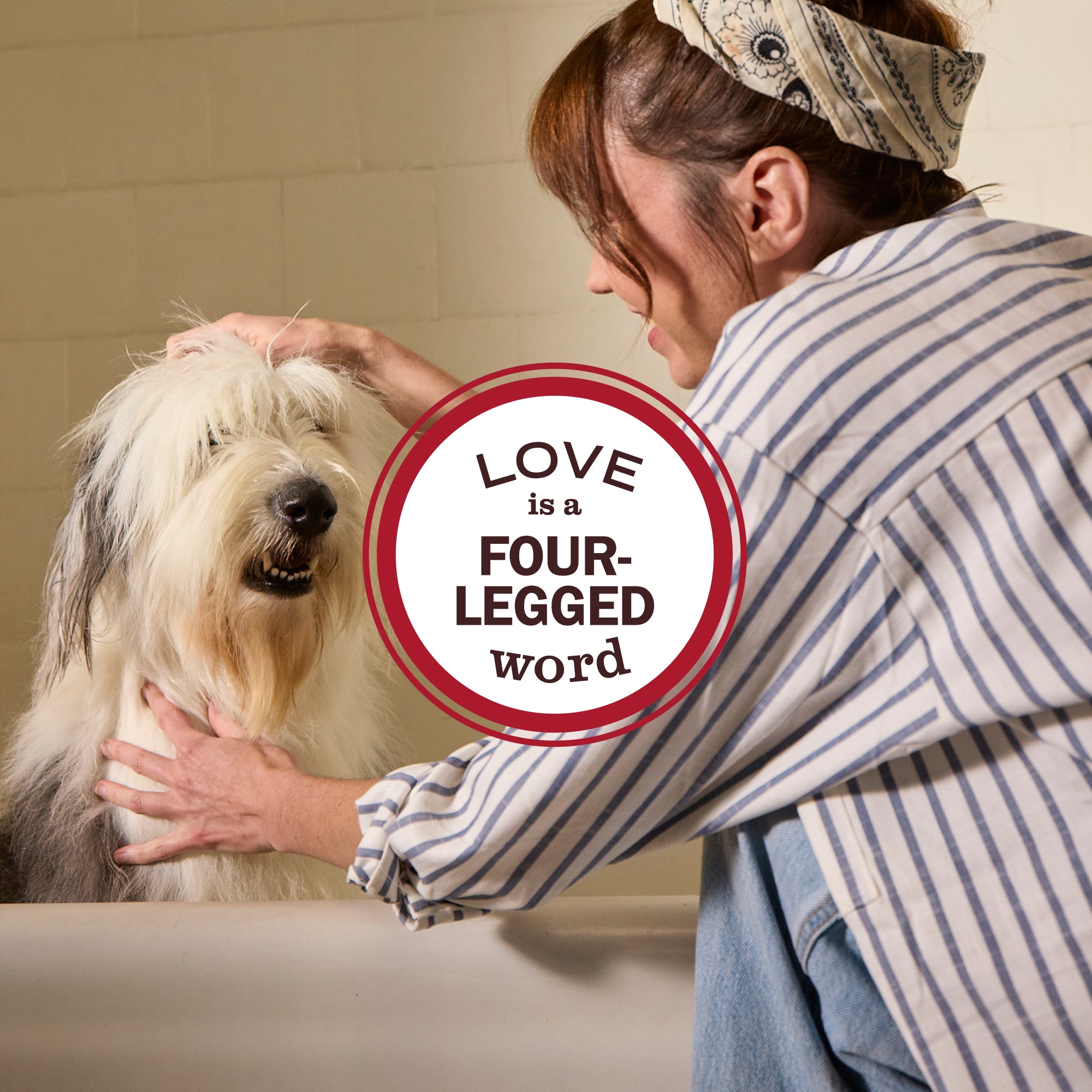 Sweet Chamomile 3-in-1 Dog Shampoo - Image 9
