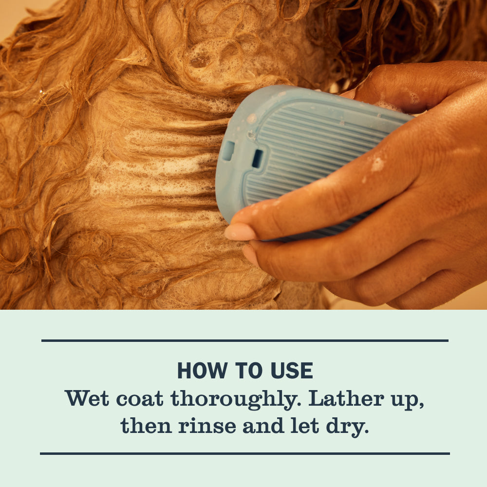 Sweet Chamomile 3-in-1 Dog Shampoo - Image 6
