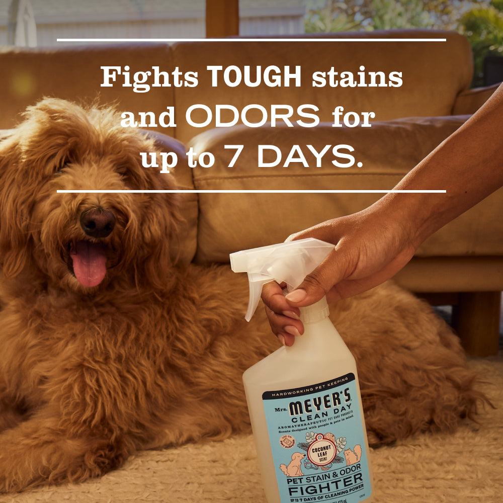 Coconut Leaf Pet Stain & Odor Fighter - Image 4
