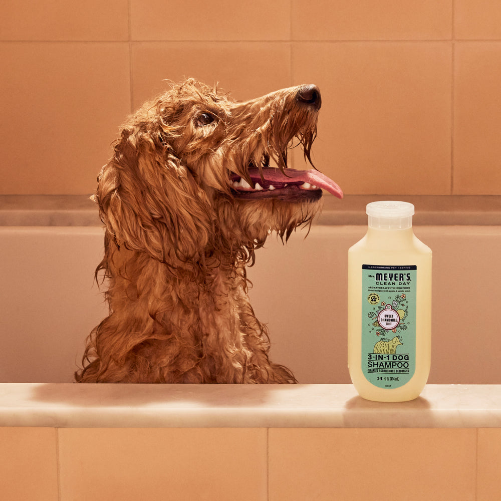 Sweet Chamomile 3-in-1 Dog Shampoo - Image 7