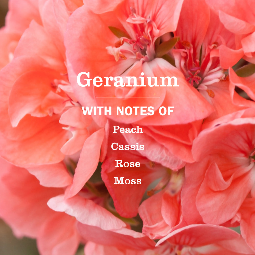 Geranium Multi-Surface Concentrate - Image 4