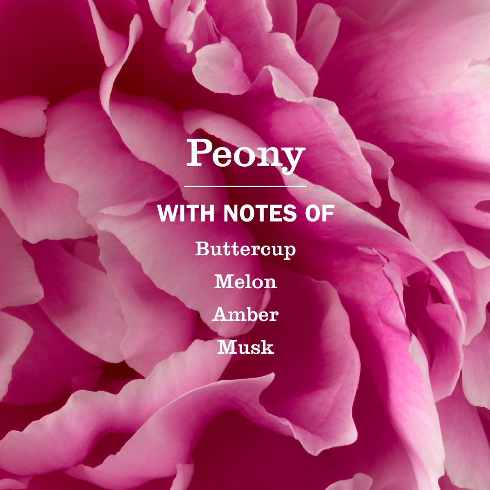 Peony Dish Soap - Image 4