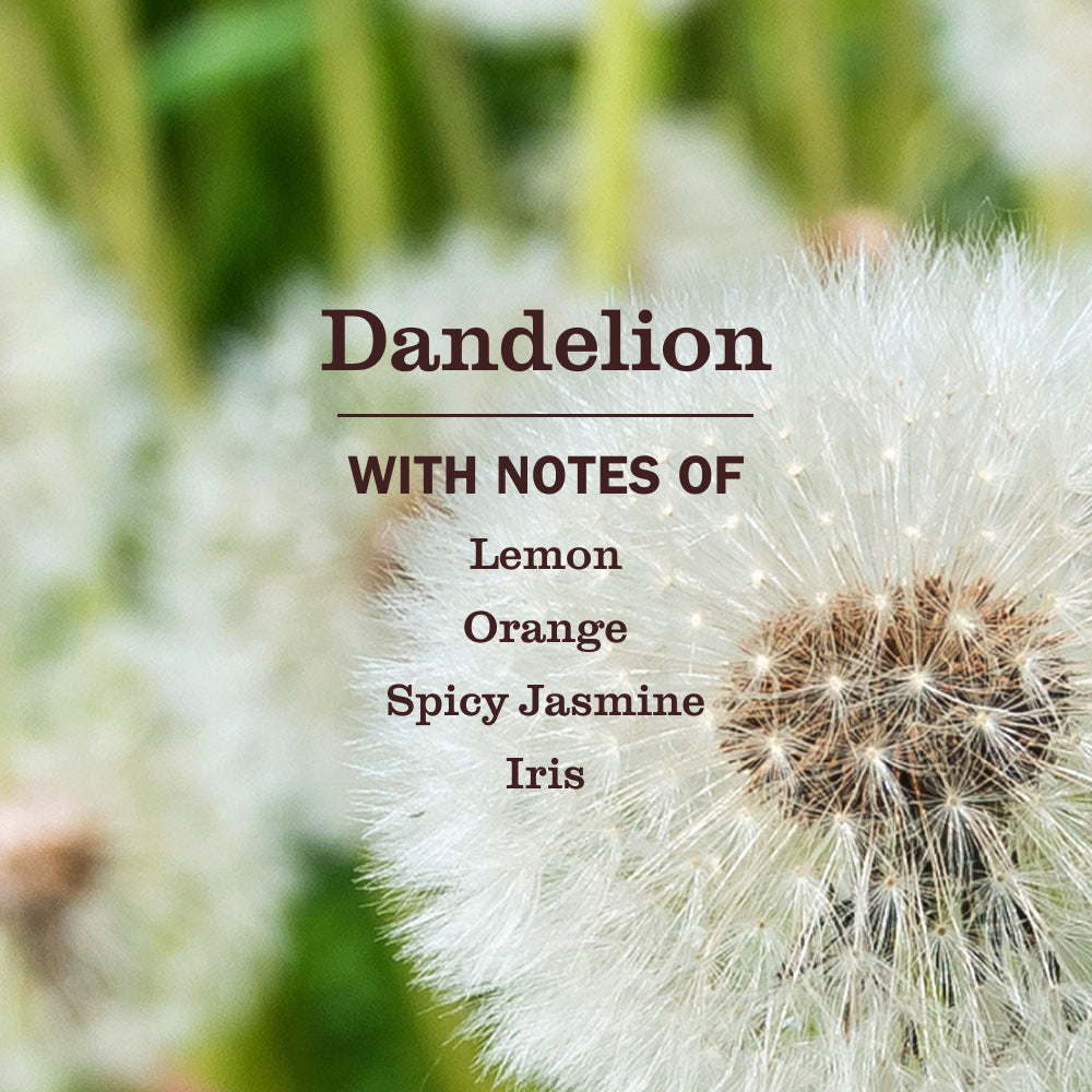 Dandelion Multi-Surface Everyday Cleaner - Image 4