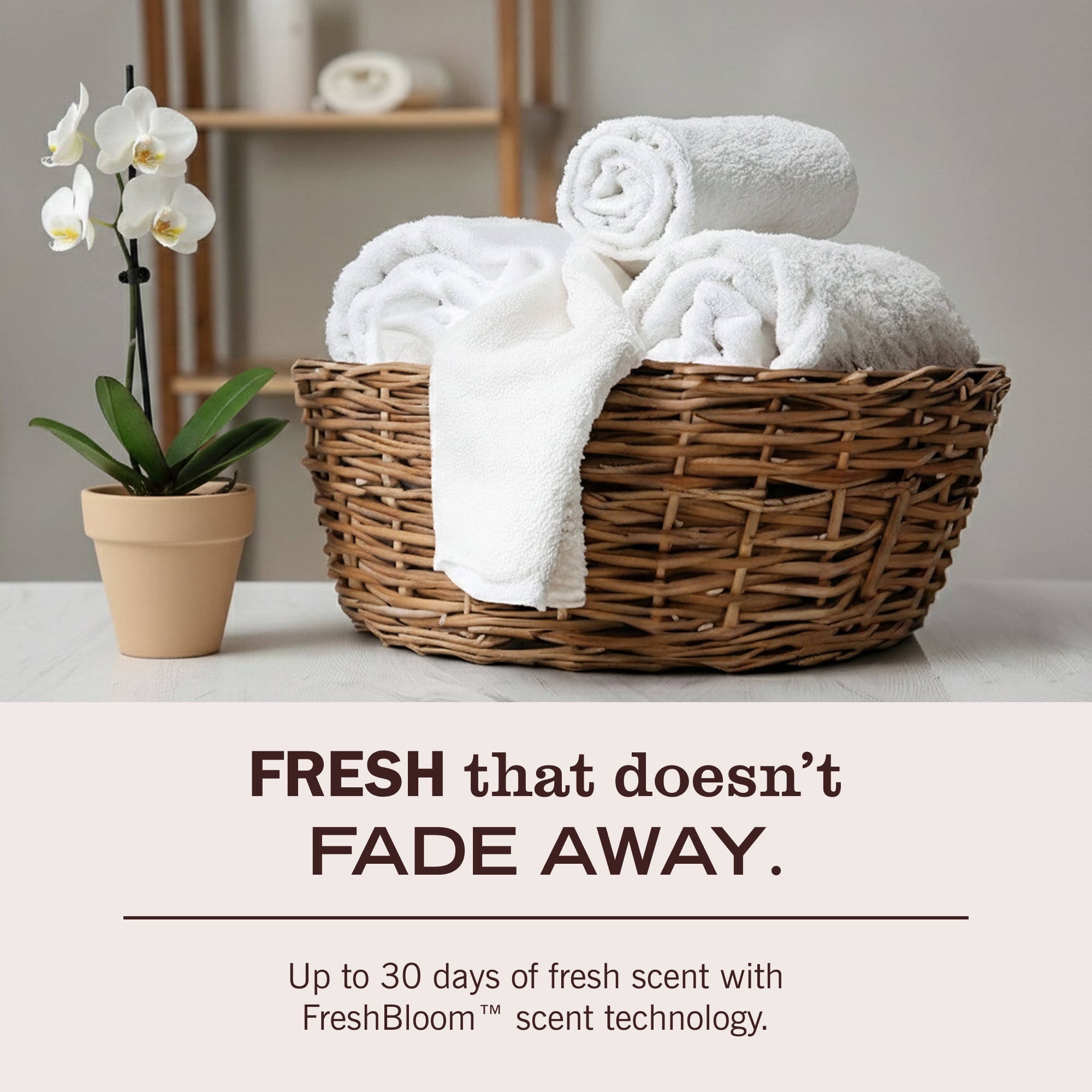 Basil Laundry Detergent - Image 6