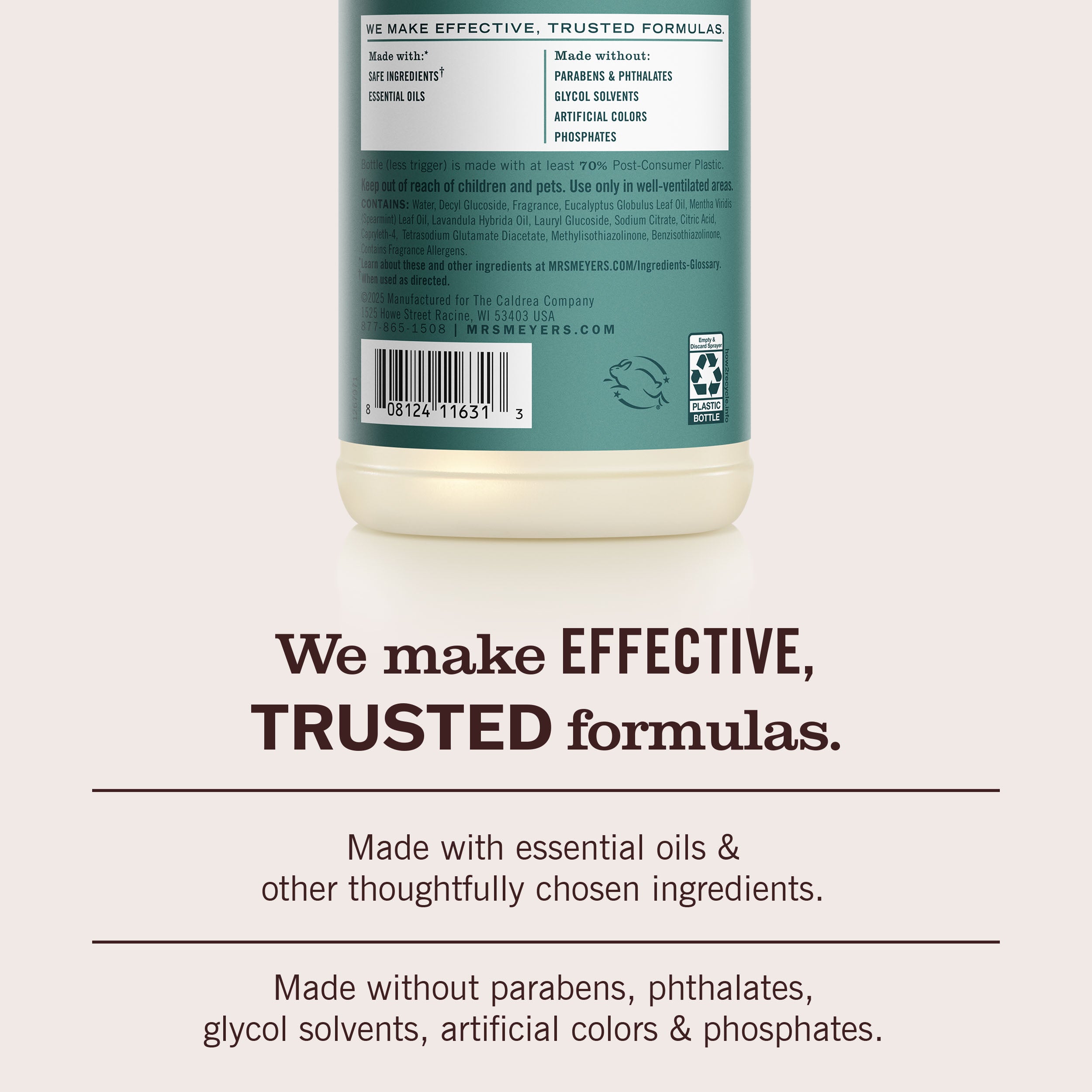 Eucalyptus Multi-Surface Everyday Cleaner - Image 6