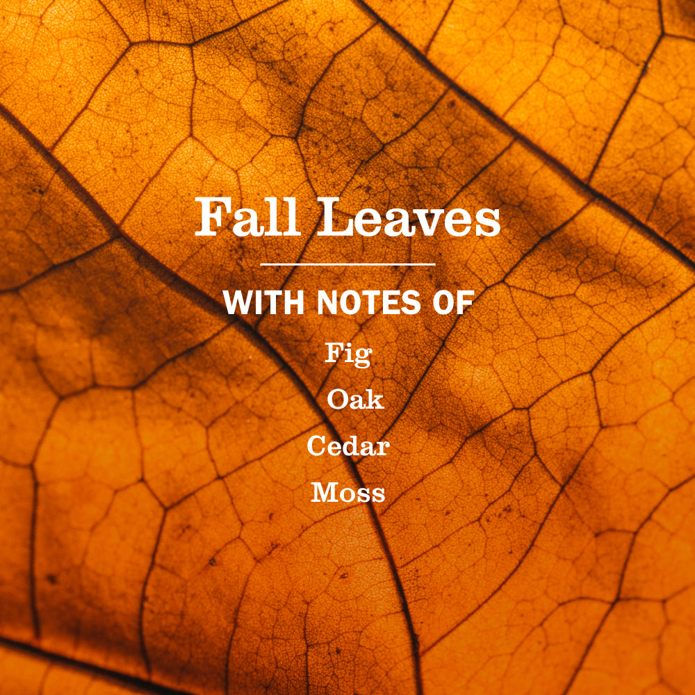 Fall Leaves Multi-Surface Everyday Cleaner 3-count Bundle - Image 4