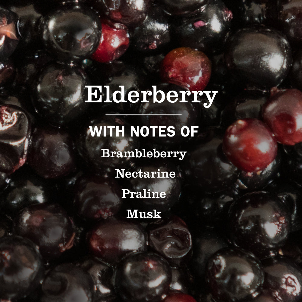 Elderberry Multi-Surface Everyday Cleaner 3-count Bundle - Image 4