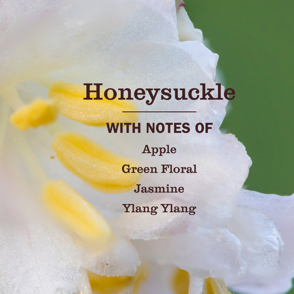 Honeysuckle Multi-Surface Everyday Cleaner - Image 4