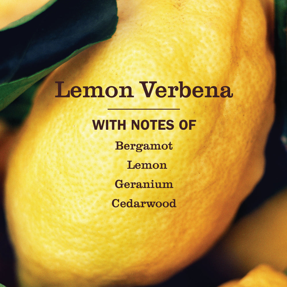 Lemon Verbena Tub & Tile - Image 4