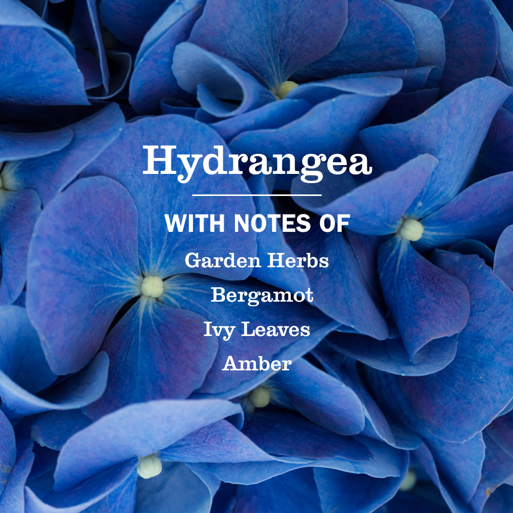 Hydrangea Liquid Hand Soap - Image 4