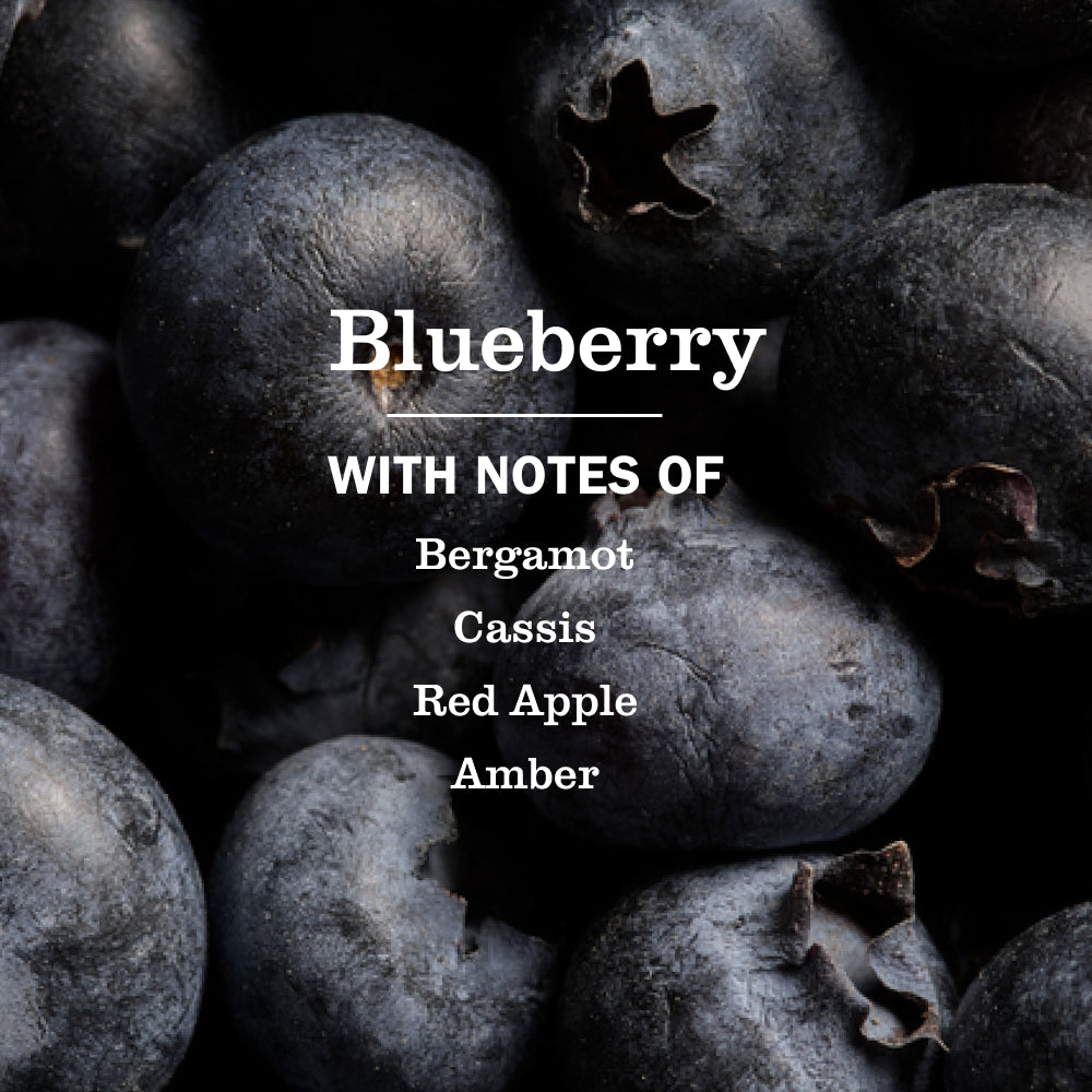 Blueberry Room Freshener - Image 4