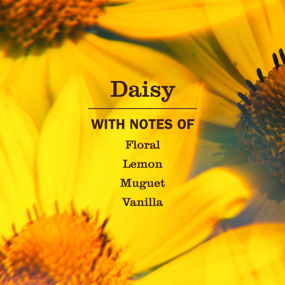 Daisy Liquid Hand Soap 3-count Bundle - Image 4