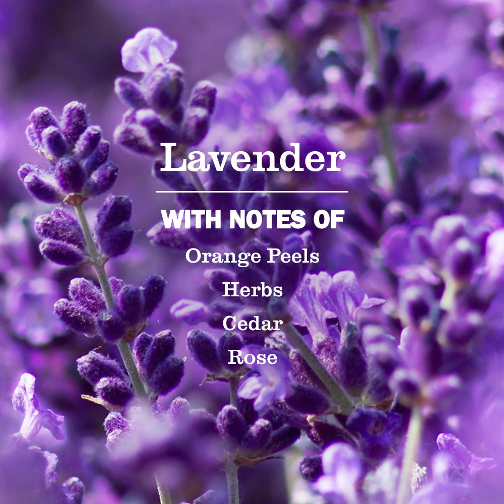 Lavender Fabric Freshener - Image 3