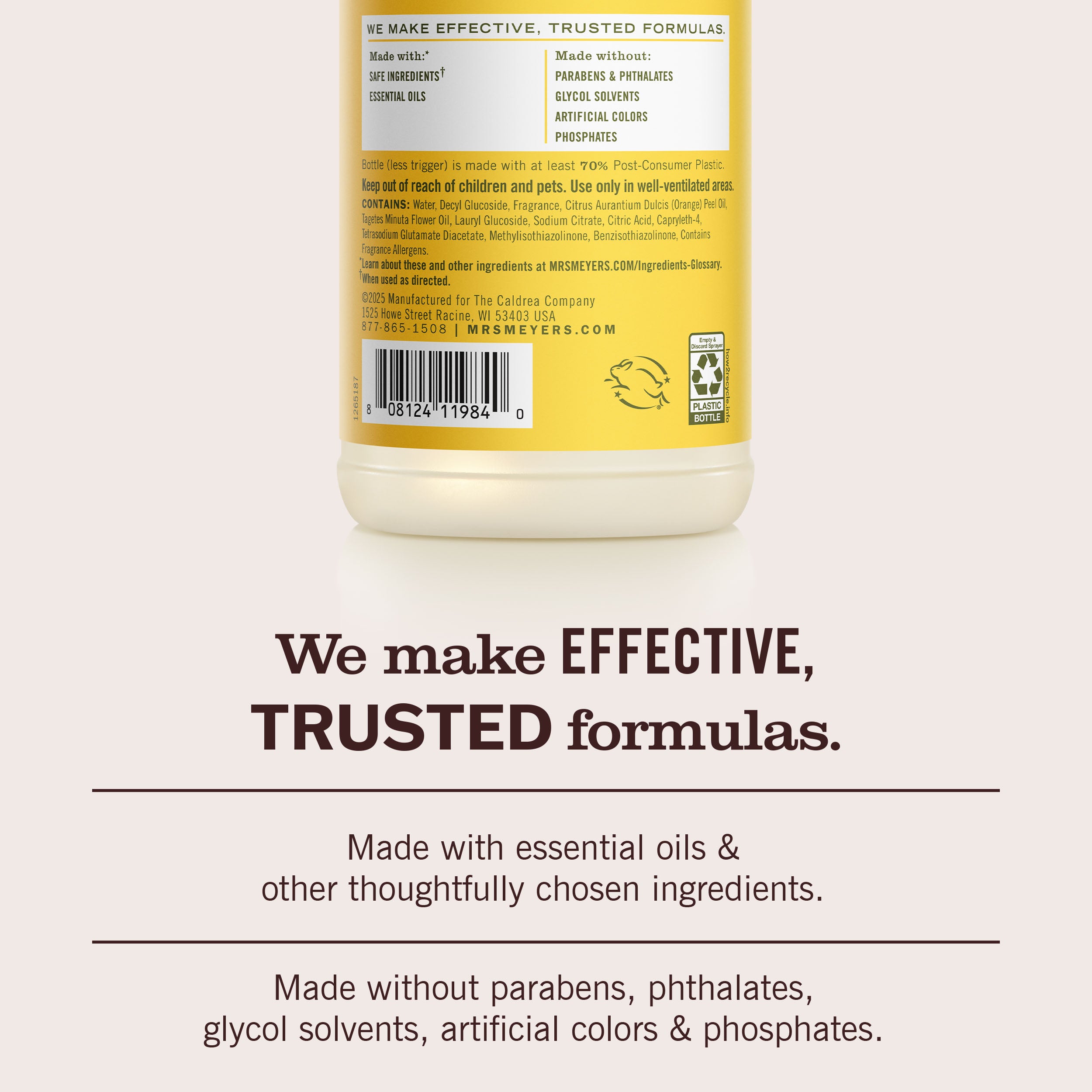 Dandelion Multi-Surface Everyday Cleaner - Image 6