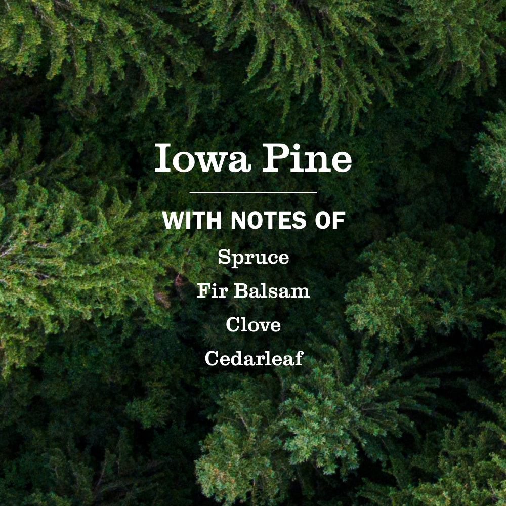 Iowa Pine Dish Soap 3-count Bundle - Image 4