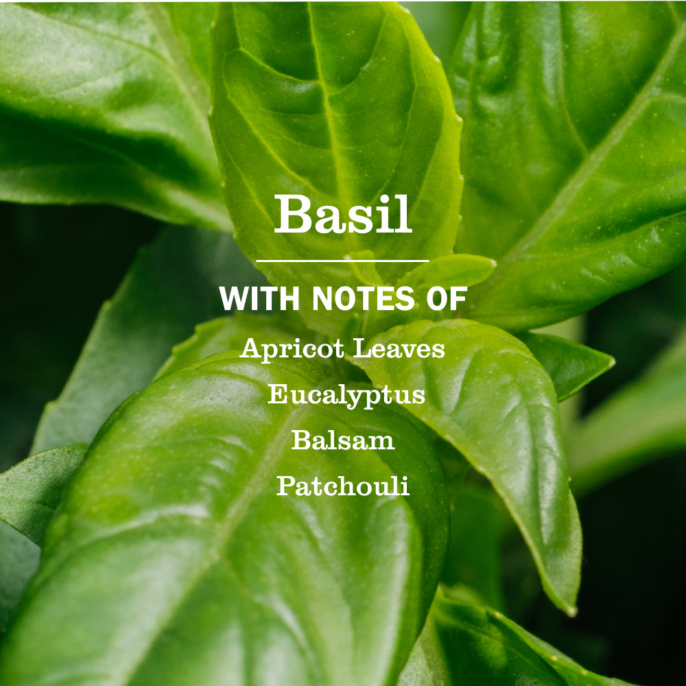 Basil Soy Candle Large - Image 3
