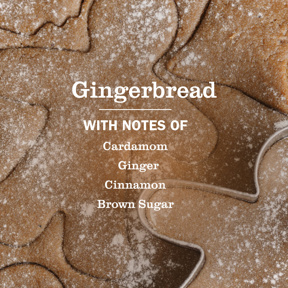 Gingerbread Liquid Hand Soap 3-count Bundle - Image 4