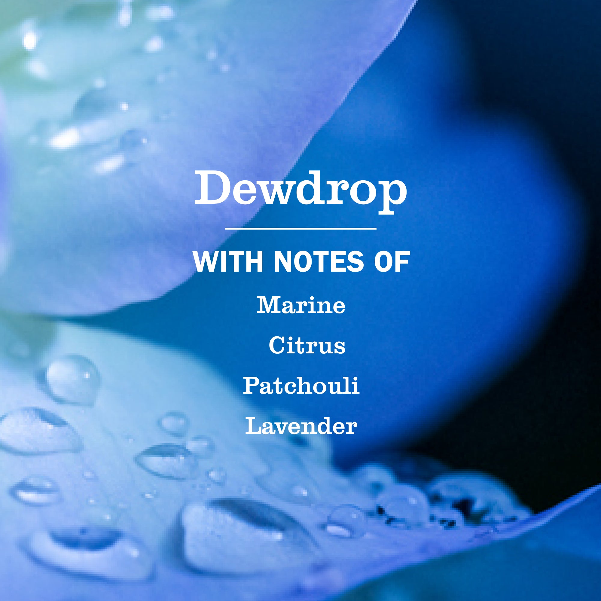 Dewdrop Multi-Surface Everyday Cleaner - Image 4