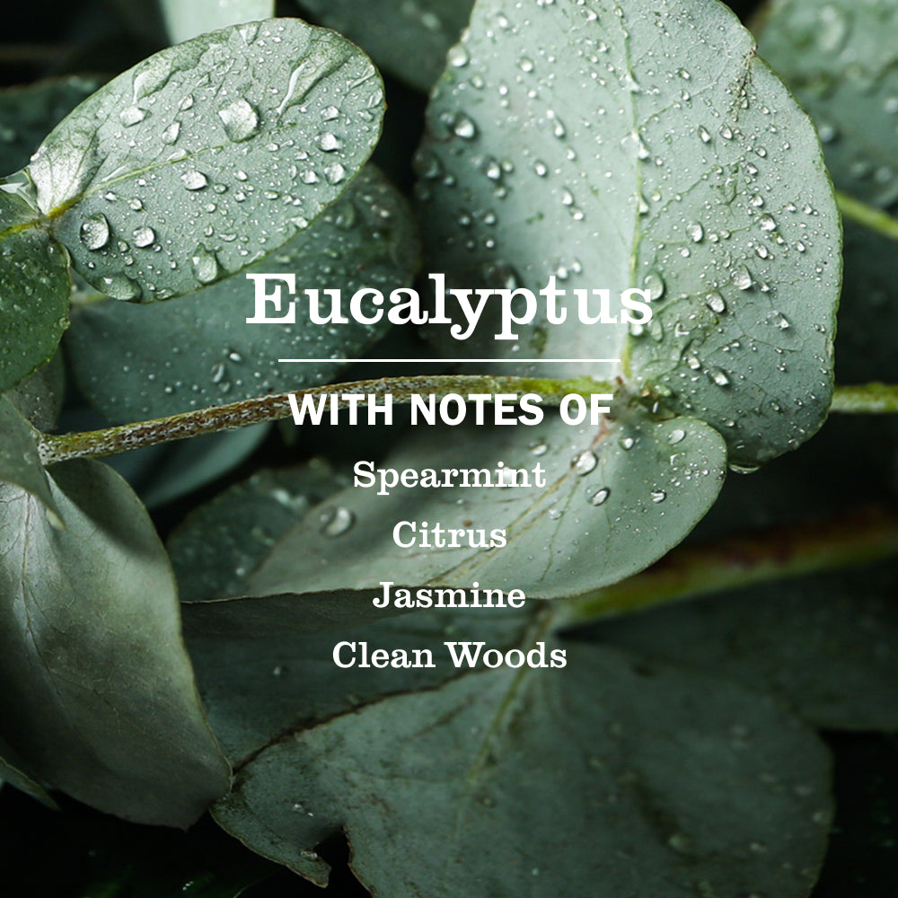 Eucalyptus Multi-Surface Everyday Cleaner - Image 4
