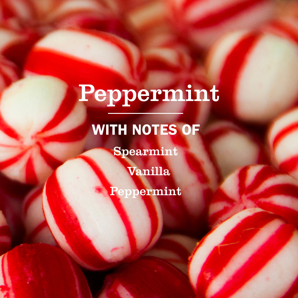 Peppermint Dish Soap 3-count Bundle - Image 4