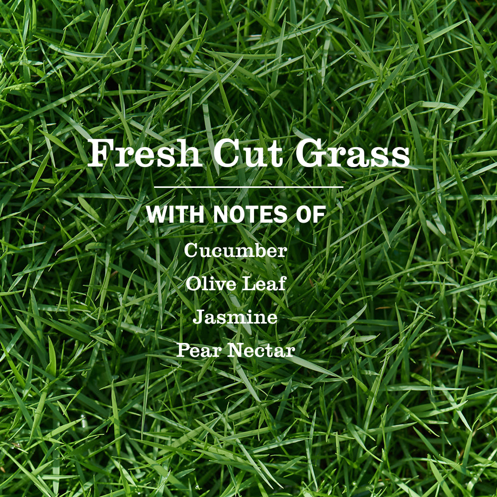 Fresh Cut Grass Multi-Surface Everyday Cleaner 3-count Bundle - Image 4