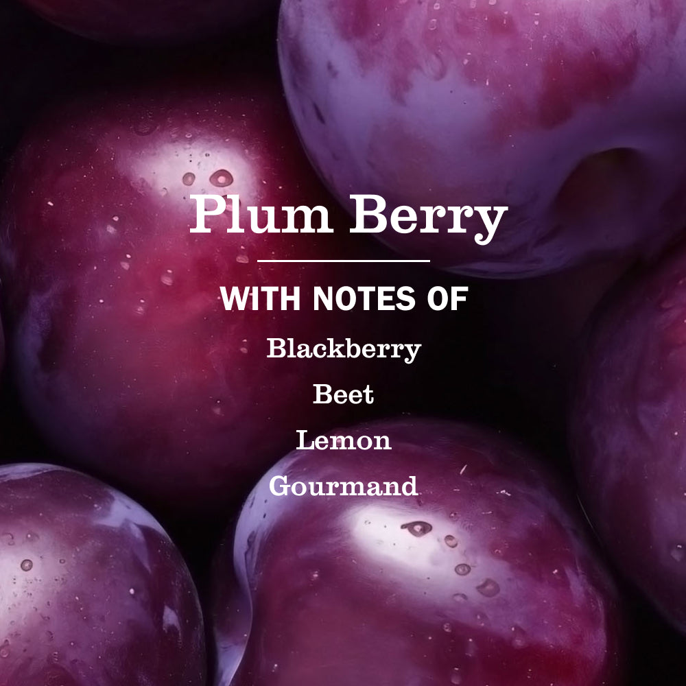 Plum Berry Liquid Hand Soap & Refill Set - Image 2