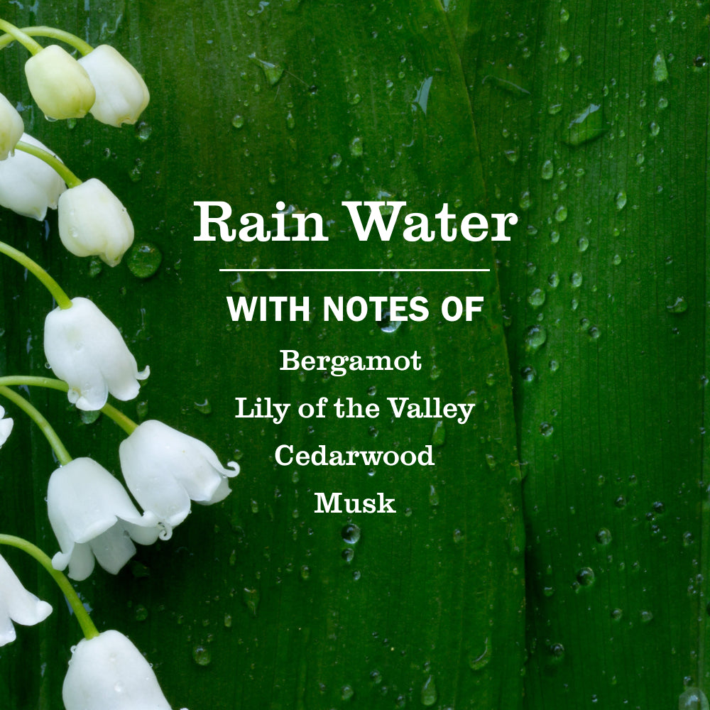 Rain Water Fabric Freshener - Image 3