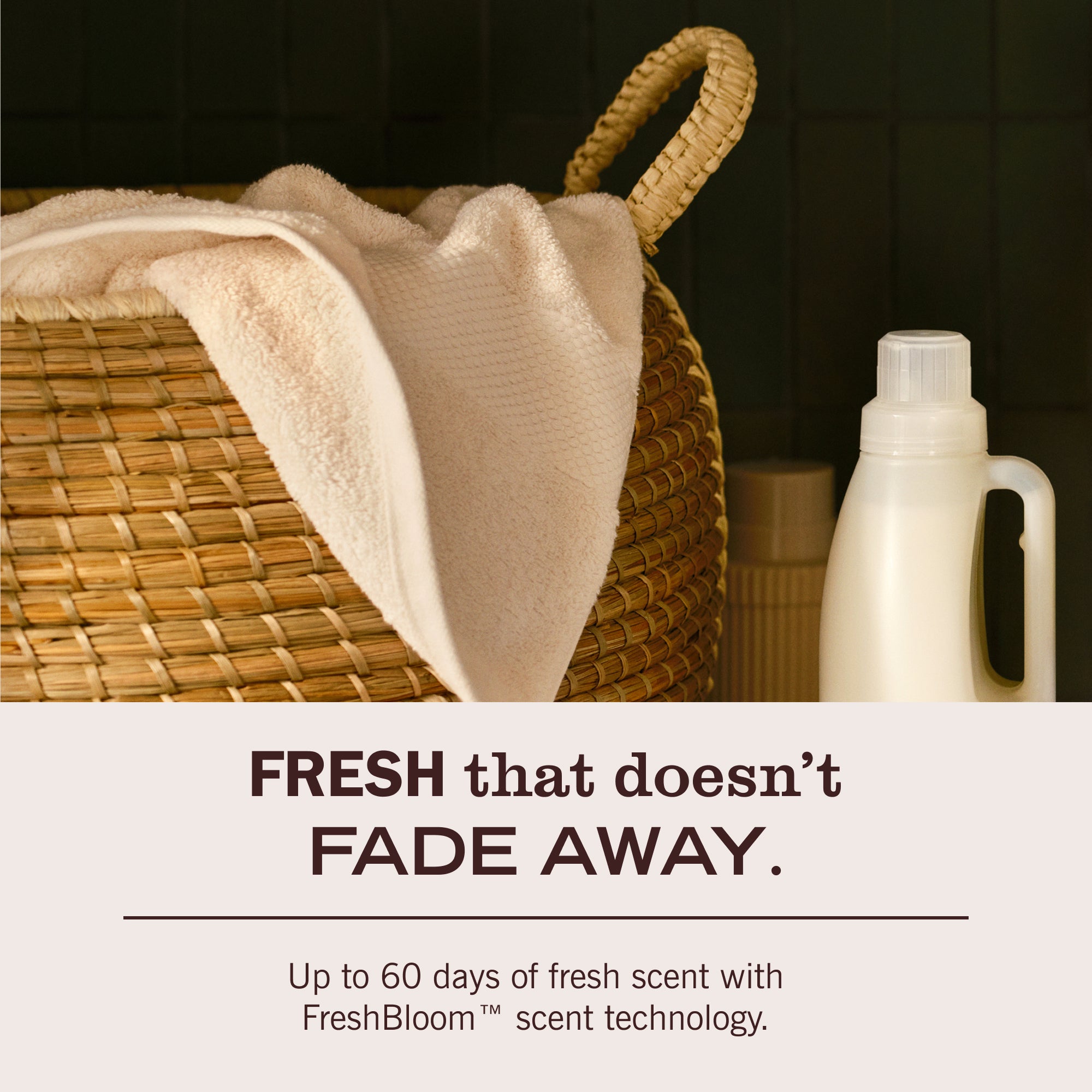 Birchwood Fabric Softener - Image 7